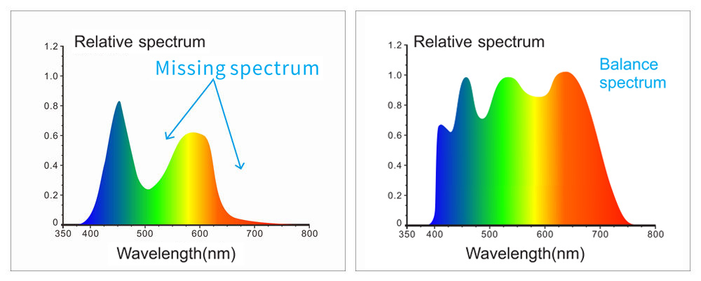 Full_spectrum_LED_light_source_wavelength.jpg