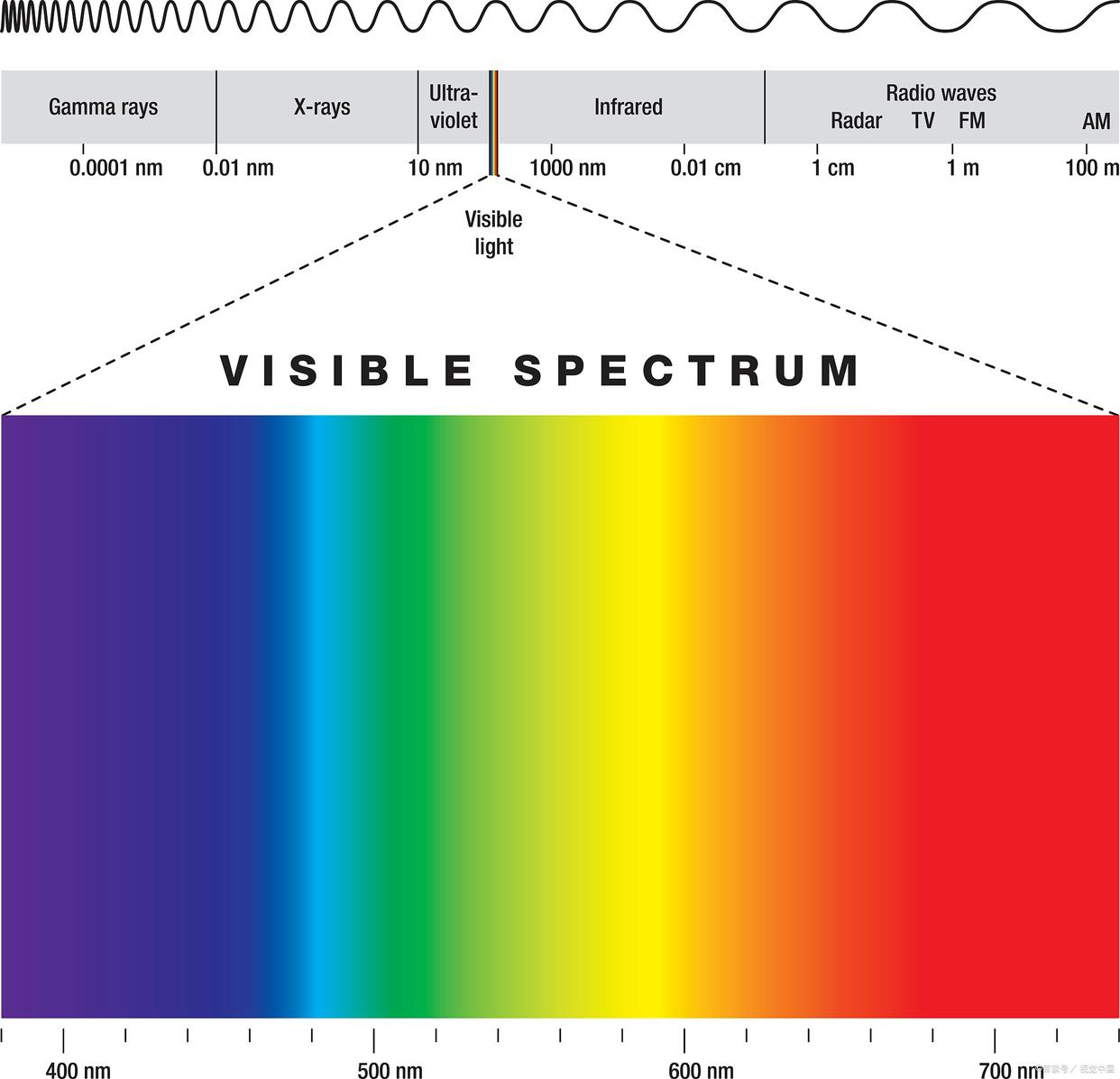 Spectrophotometry vsible pectrum