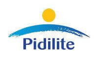 клиент pidilite