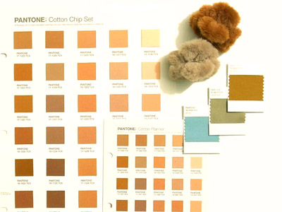 Pantone объясняет: руководство по цветовому сопоставлению и цвету года