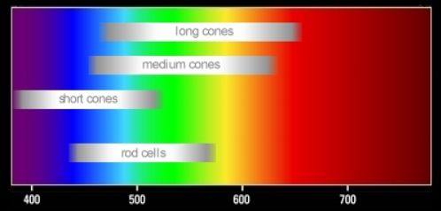 three_types_of_cones.jpg